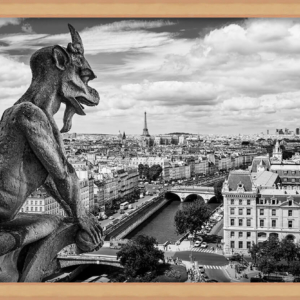 Gargoyle on Notre-Dame face