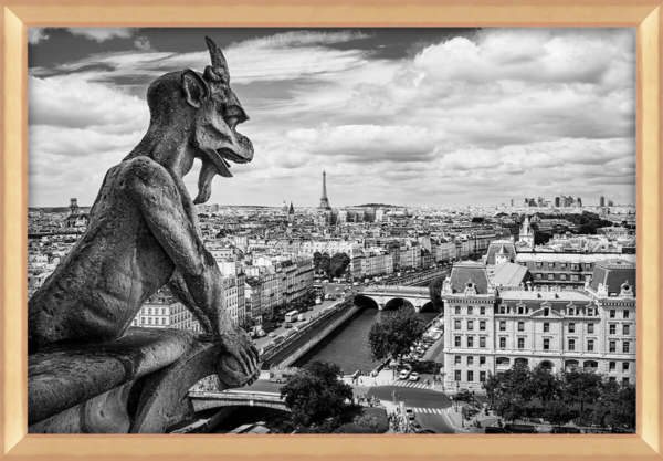 Gargoyle on Notre-Dame face